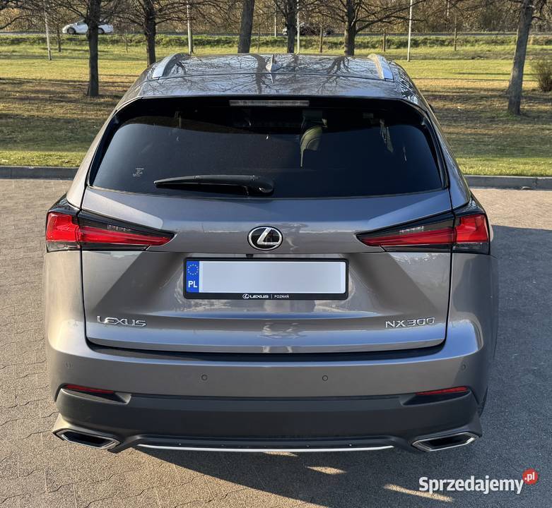 Lexus NX 300 F Sport AWD światła do jazdy dziennej Poznań
