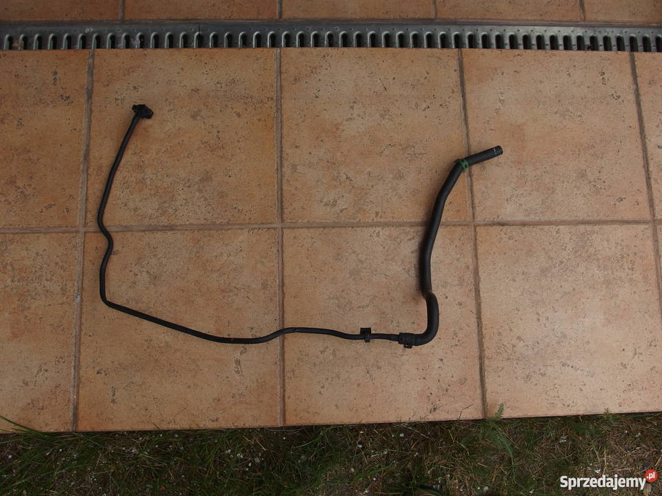 MEGANE SCENIC III 16 DCI RURA WĄŻ WODY RURKA Wągrowiec sprzedam