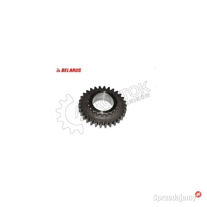 Koło zębate mtz 1031 oryginał Parczew