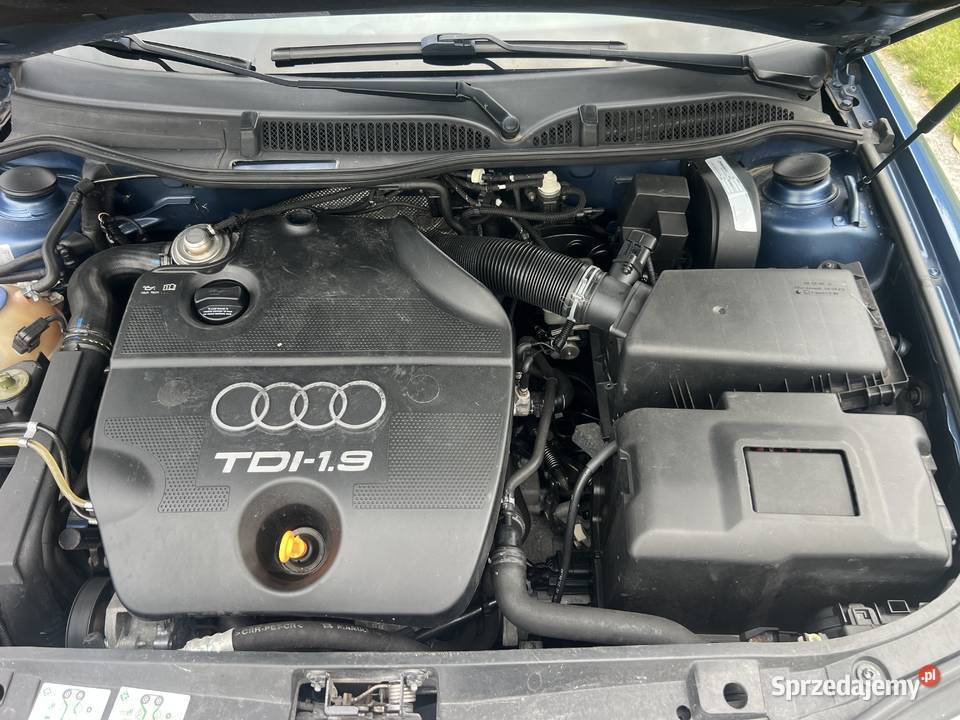 Audi A3 8L 19TDI 90 Gryfice