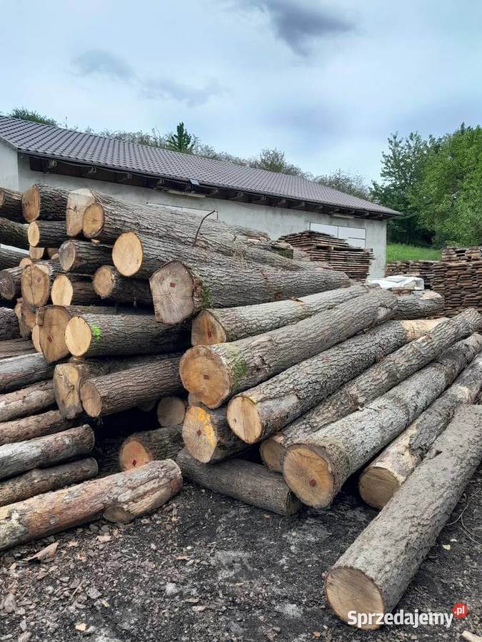 Tarcica dębowa Gulcz