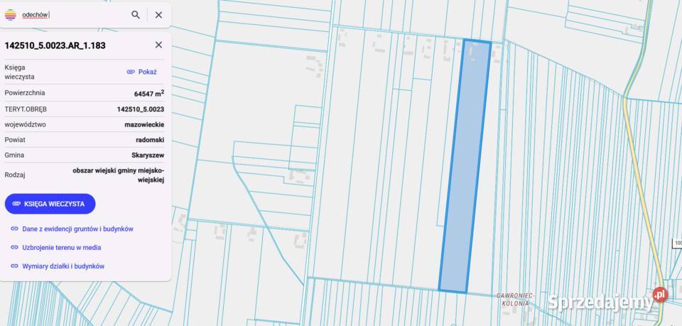 Działki rolne Odechów 5500m2