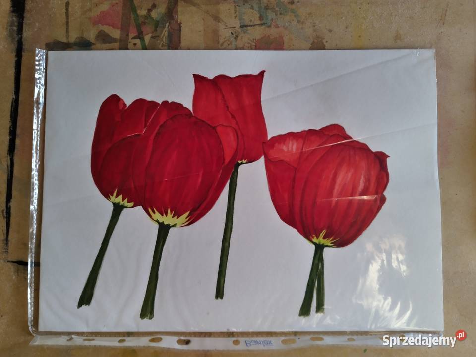 Akwarela Czerwone tulipany Lwówek sprzedam