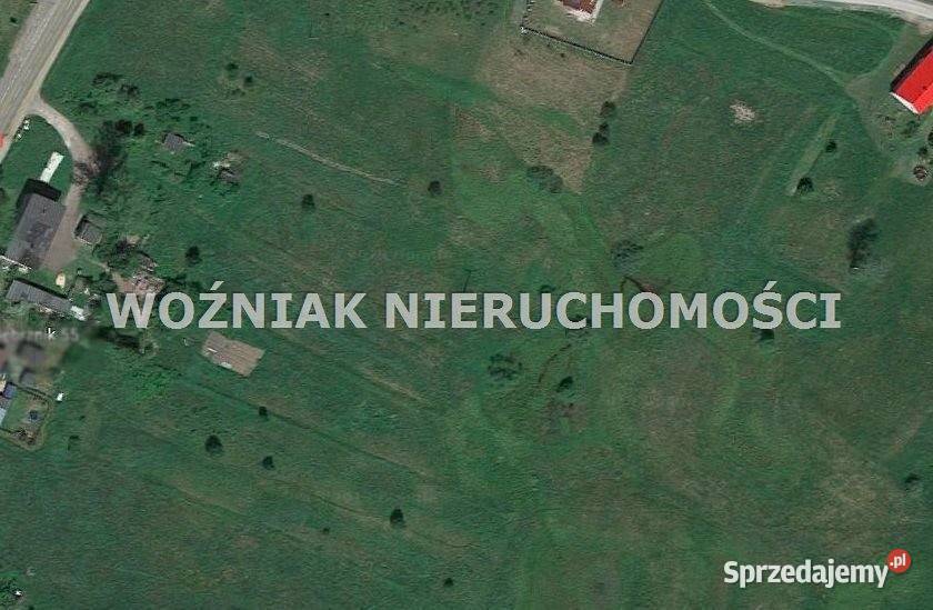 Działka Dębrznik 1137 metrów polna