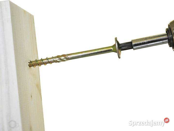 6x80 TORX ŁEB TALERZOWY 100 Gorzów Wielkopolski