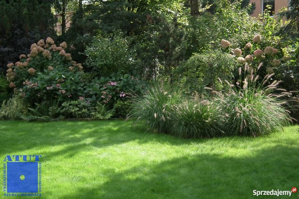 dom 240m2 Gliwice Plac Grunwaldzki Domy śląskie