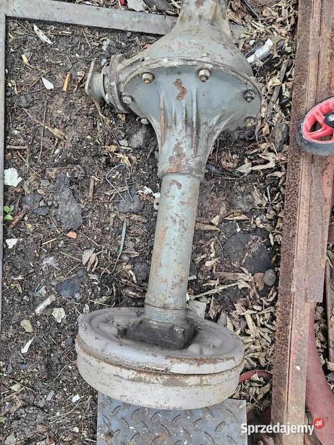 Most z dyferencjałem oś żuk