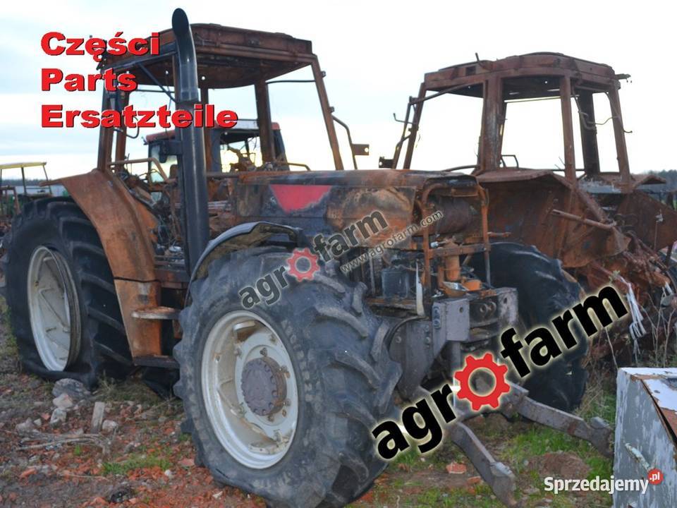 Massey Ferguson 6180 części skrzynia biegów oś Pozostałe Byków