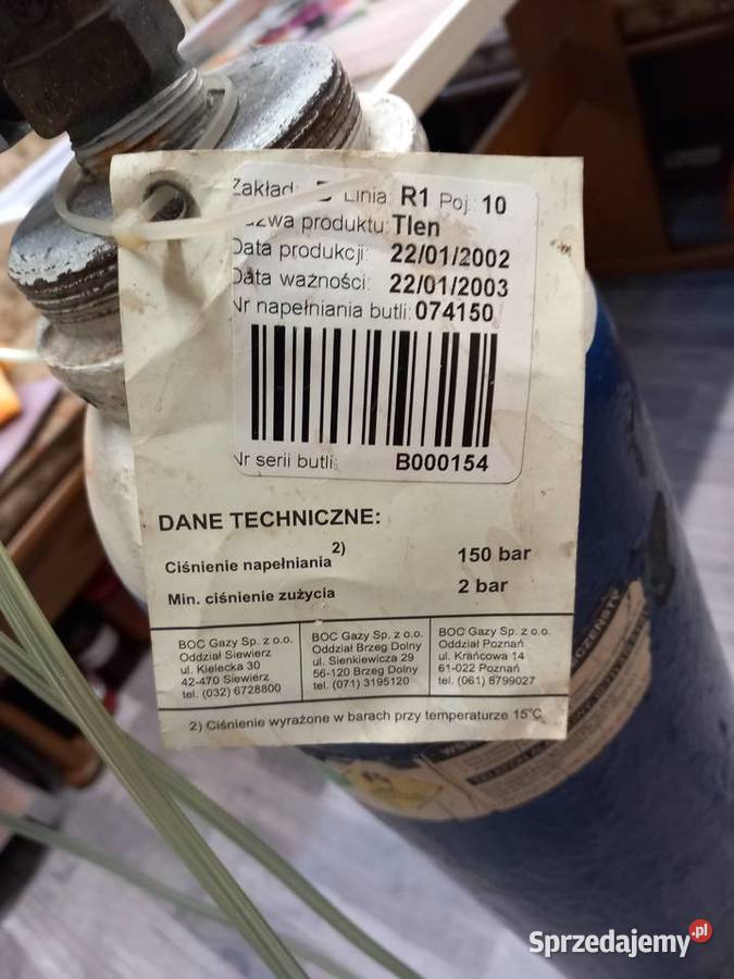 BUTLA NA TLEN MEDYCZNY Pozostałe Kożuchów