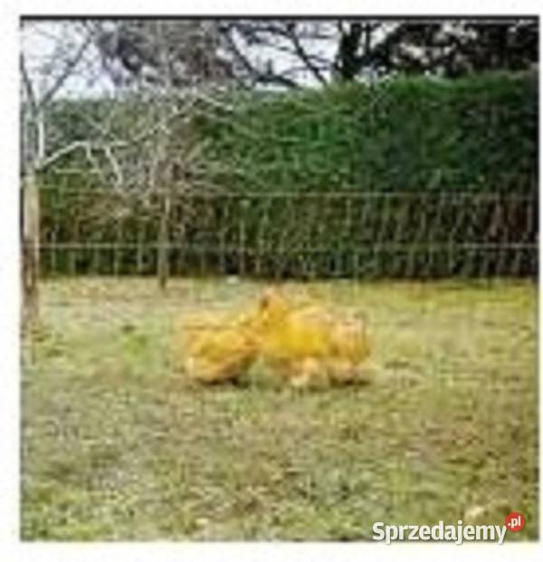 Siatka elektryczna kur gęsi indykow wys112 dł50m Olsztyn sprzedam