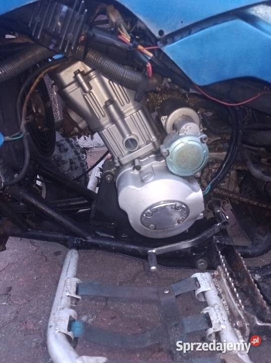 Quad 250 Rok produkcji 2008 zachodniopomorskie Dębno sprzedam