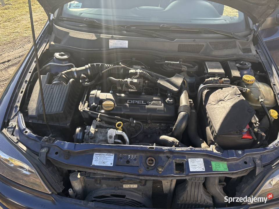 Fajny Opelek i małe spalanie Rok produkcji 2001 łódzkie Gołębiew Stary sprzedam