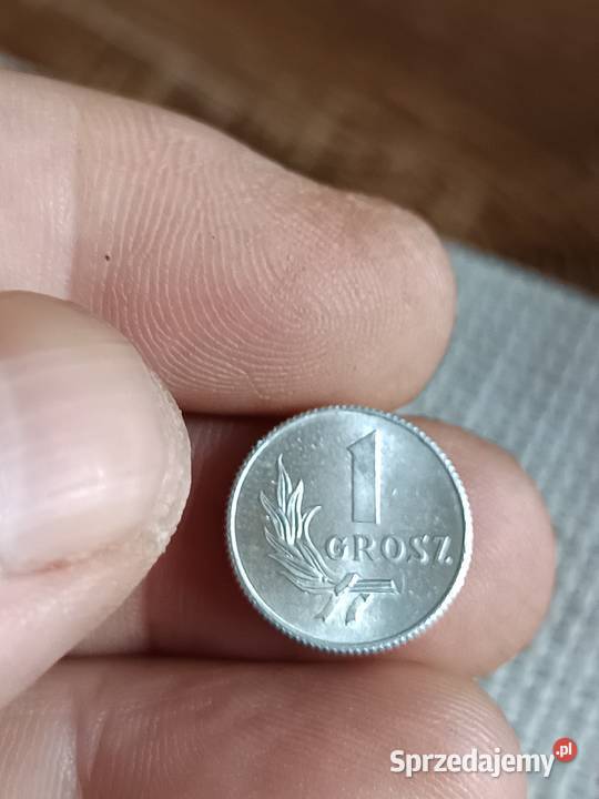 Sprzedam 1 grosz 1949 r Chełm