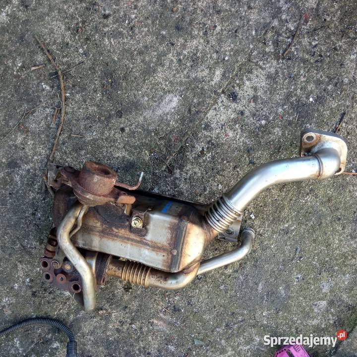 Opel Astra H 17 CDTI chłodnica spalin Szczecin