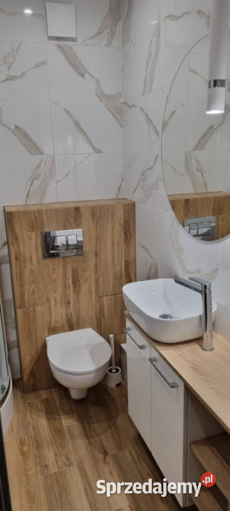 Kawalerka generalnym remoncie Rataje Poznań do Piętro 5 Wynajem