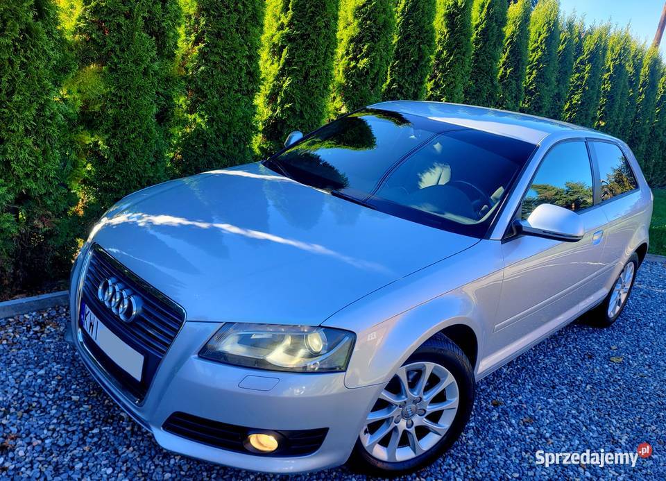 Audi A3 Lift CLIMATRONIC Xenon Alu Podgrzewane Kraków