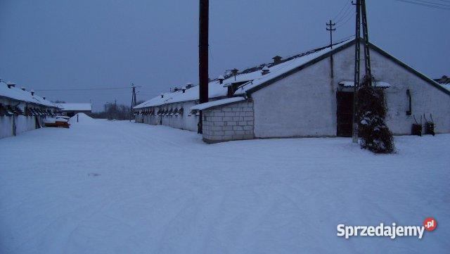 Fermę Drobiu inwestycyjna warmińsko-mazurskie Występ