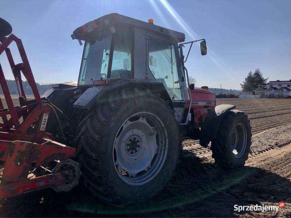 Massey Ferguson 3080 Golub-Dobrzyń