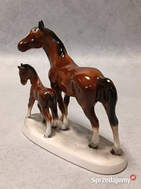Hertwig Konie Kolekcjonerska Klacz i Źrebię Gdańsk