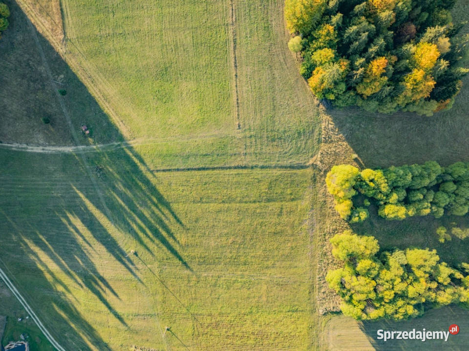 Działka budowlana Łapsze Niżne 2000m2 sprzedam