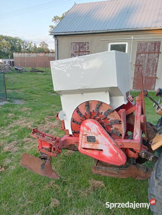 Sadzarka czeska Agrozet Czyżew