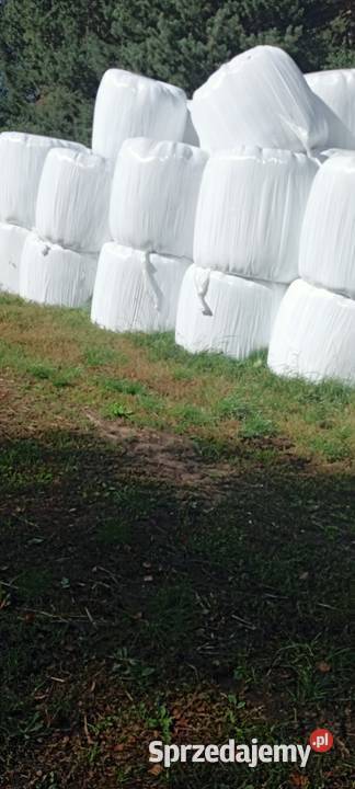 Sprzedam bele sianokiszonka 2025 Trawy, słoma Bartniki