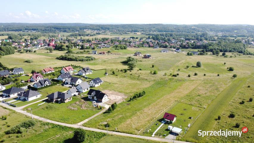 Grunt Krzeczów 2000m2