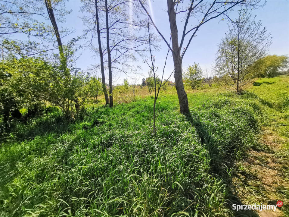 sprzedaży gruntu Złoczew 1254m2