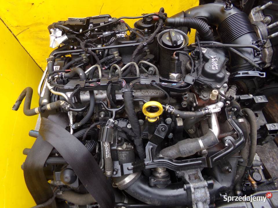 RAPID A1 IBIZA FABIA POLO 14 TDI 17r 90 silnik Suków