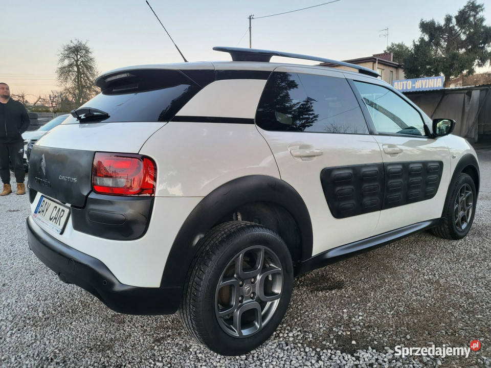Citroen C4 Cactus 16 100 100 Oryginał 100 łódzkie Pabianice