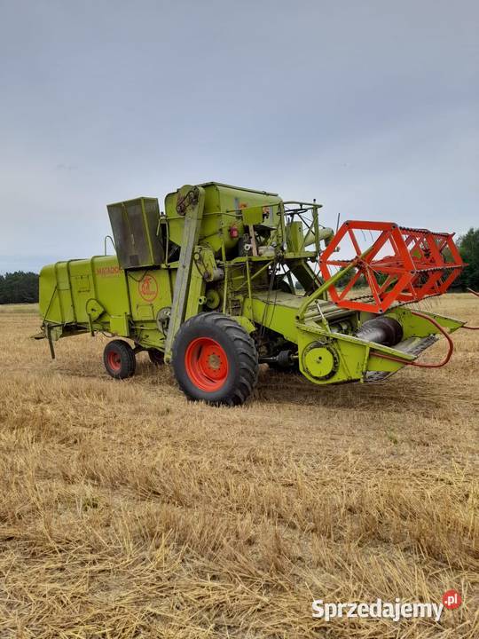 Kombajn CLAAS Przystajń