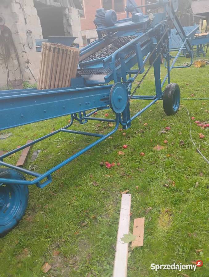 Sortownik do ziemniaków puck Pilica