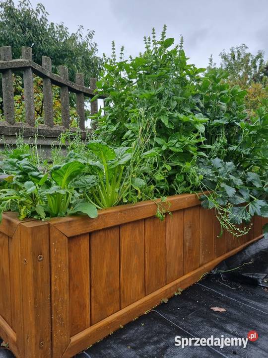Warzywnik drewniany skrzynia ogrodowa zielnik Kalety