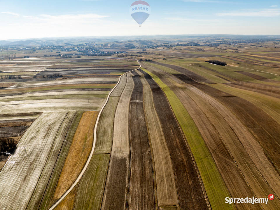 Działki rolne w pięknej okolicy Sułoszowa