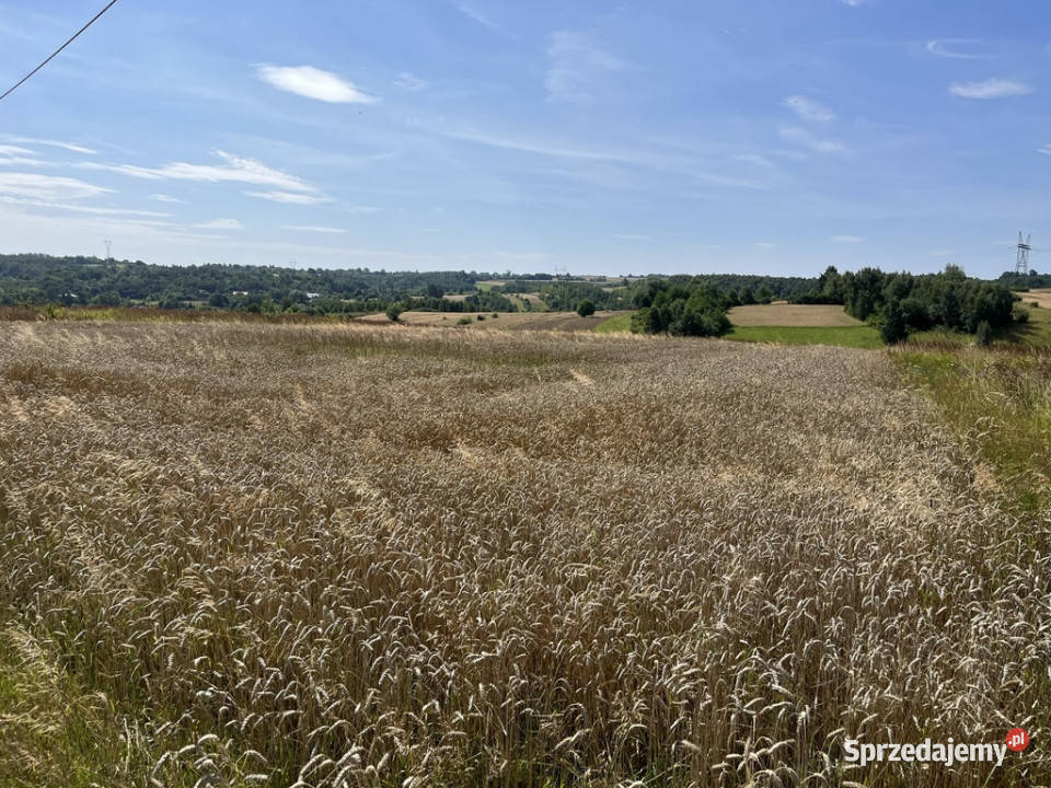 Działka rolna w przepięknej okolicy 12500m2 świętokrzyskie Jędrzejowice