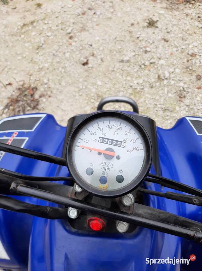 Quad rex 50cc Izbica Kujawska