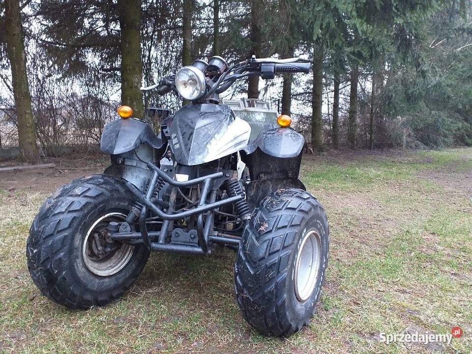 AMS Desert Cat QUAD podkarpackie Krzywa