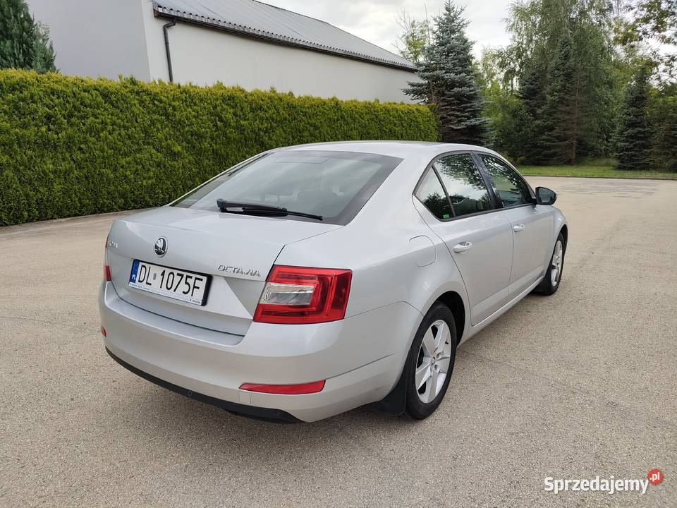 Skoda Octavia 2014 super stan ogranicznik prędkości