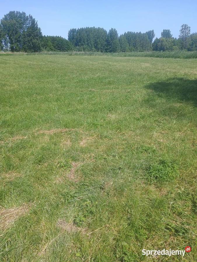 działka rekreacyjna 37zł/m2 Pińczów sprzedam