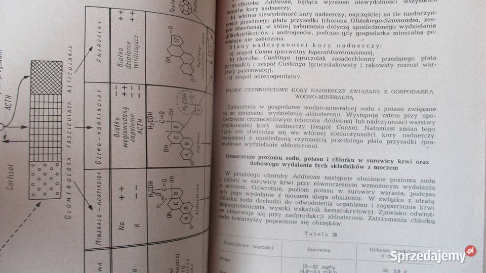 Badania czynnościowe w klinice chorób Łódź