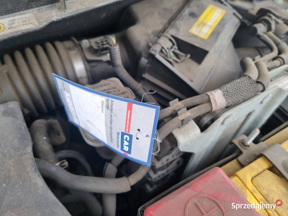 Renault 20 dci AUTOMAT XENON PANORAMA 4X4 160 Słubice