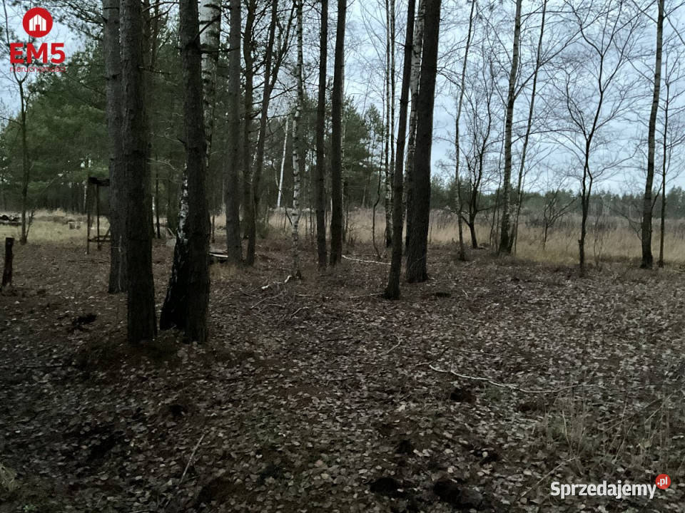 Dom wolnostojący Sochonie Leśna 190 metrów