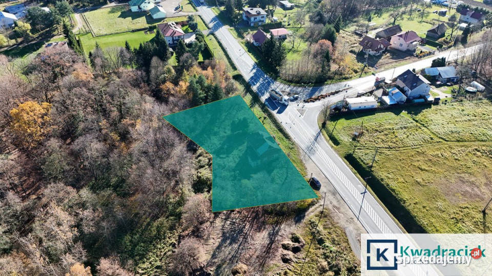 sprzedaży domu wolnostojącego Jaszczew 100m2 3104m2 podkarpackie