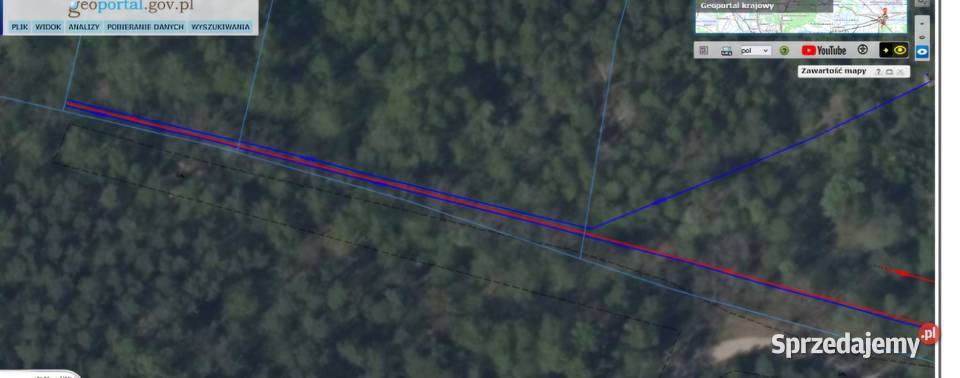 Sprzedam las mieszany z gruntem 139 ha Leśnictwo Turza Wielka