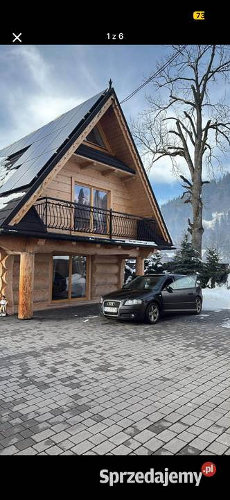 Audi A3 8P 20 TDI quattro Czystogarb