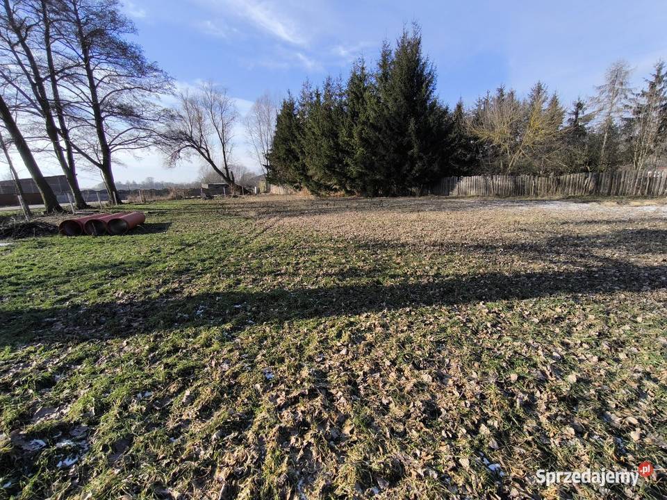 Na sprzedaż działka budowlana 1240 m Obłotne Sprzedaż lubuskie