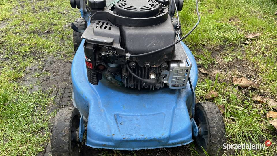 kosiarki spalinowe z koszem i napędem Domaradz