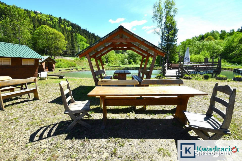 Działka 11659m2 Krzywe