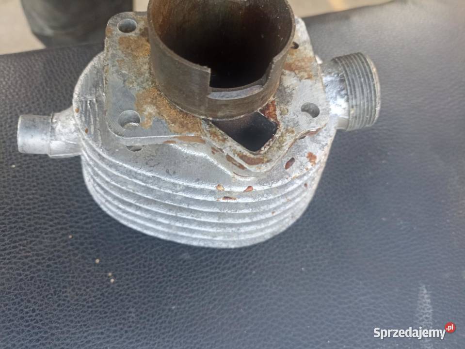 Cylinder zek rys komar Moczkowo