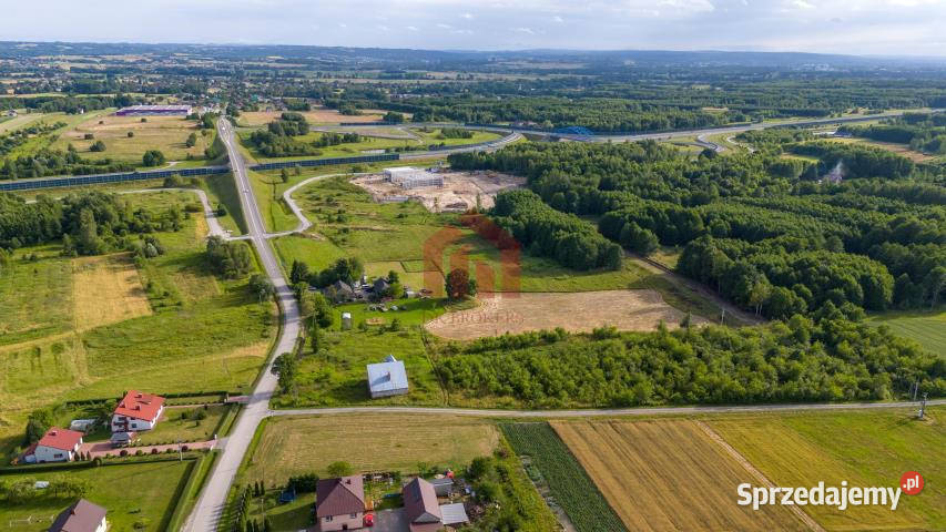 Działka Borek Wielki Króla Kazimierza 236m